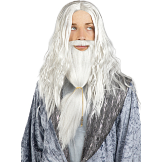 Harry Potter® Dumbledore Peruukki & Parta
