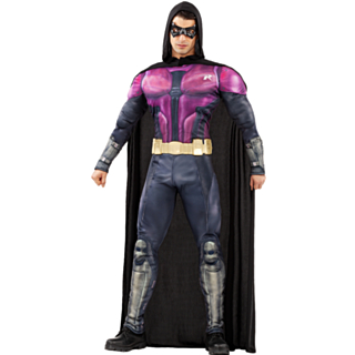 Batman® Arkham Knight Robin Asu