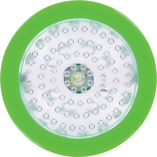 Strobo LED Kurpitsavalo