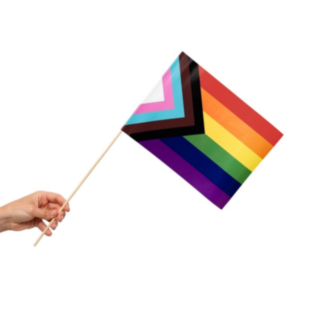 Progress Pride Lippu Kepissä
