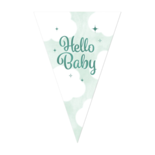 Hello Baby -Viirinauha