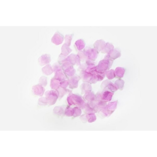 Ruusun Terälehdet Violetti