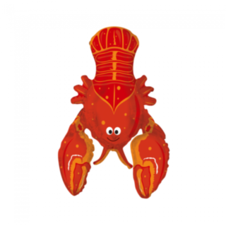 Rapu Folioilmapallo