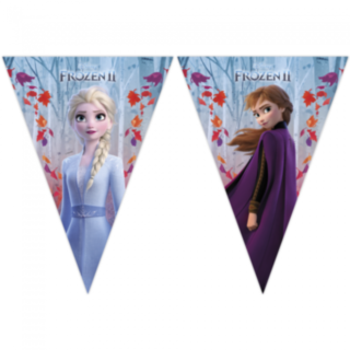 Frozen 2®Viirinauha