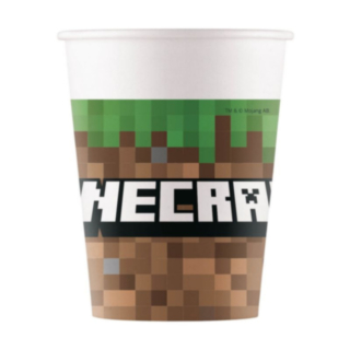 Minecraft® Pahvimukit