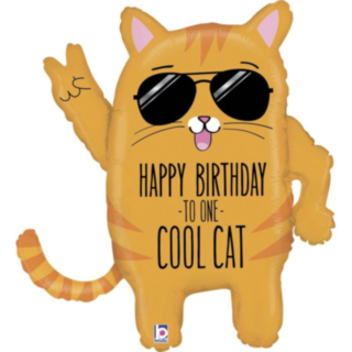 Cool Cat Happy Birthday Foliopallo