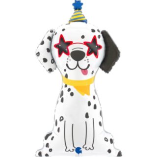 Juhla Dalmatialainen Foliopallo