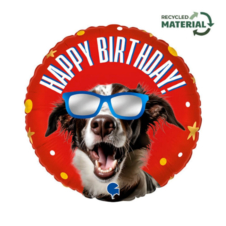 Cool Doggy Syntymäpäivä Folioilmapallo
