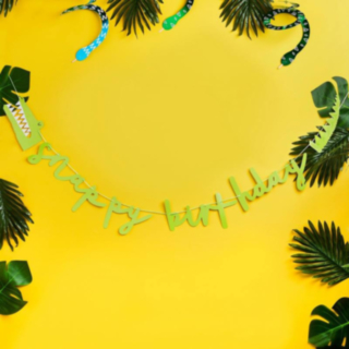 Snappy Birthday Koristenauha
