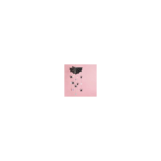 HBHBSG108