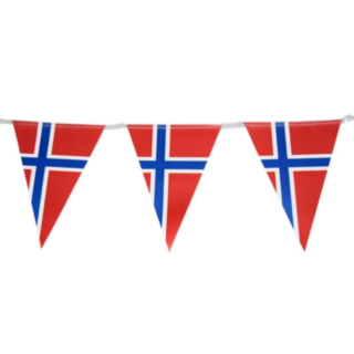 Norjan Lippu Viirinauha