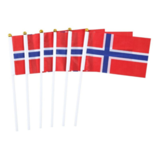 Norjan Liput Tikuissa