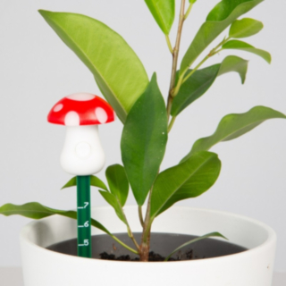 Sienen Muotoinen Kastelumittari