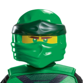 Ninjago® Lloyd Naamari