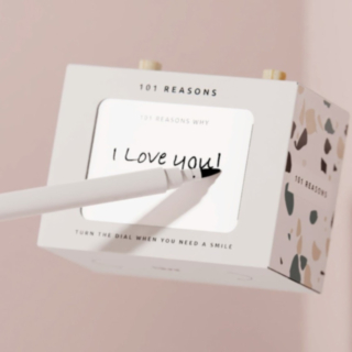 101 Reasons -viestilaatikko