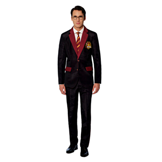 Suitmeister™ Gryffindor™