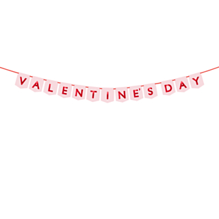 Valentine's Day Viirinauha Vaaleanpunainen
