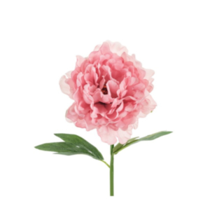 Tekokukka Pioni Pinkki