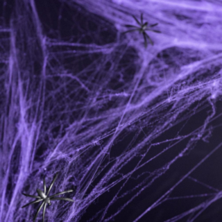 Hämähäkinseitti Violetti