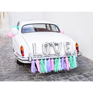 Love Autokoriste Hopea