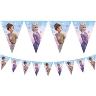 Frozen® Viirinauha
