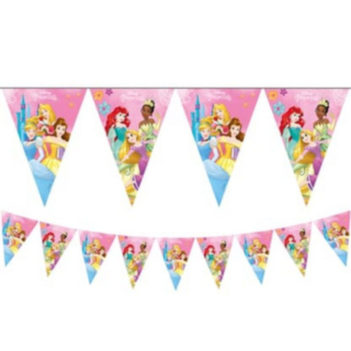 Disney Princess® Viirinauha