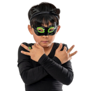Miraculous Ladybug® Cat Noir Tarvikesetti