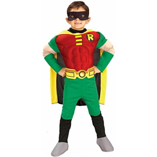 Teen Titans Robin deluxe lasten asu