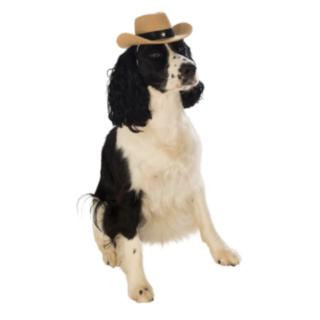 Cowboyhattu Koiralle