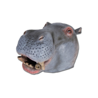 Virtahepo Naamari