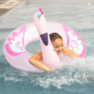 Flamingo Uimarengas