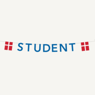 Studentti lippuviiri sininen