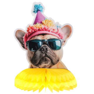 Party Dogs Kennopaperikoriste