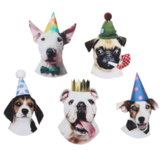 Party Dogs Pöytäkoriste Monivärinen
