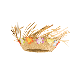 Havaiji-olkihattu