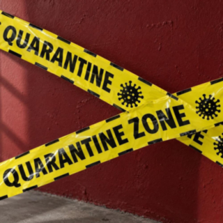 Quarantine sulkunauha