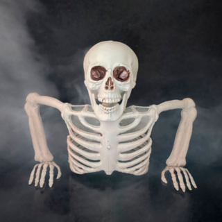 Luuranko Ylävartalo