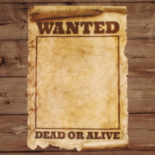 Wanted Kyltti
