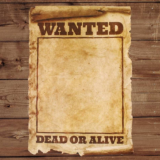 Wanted Kyltti