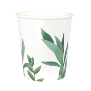Eukalyptus Pahvimukit