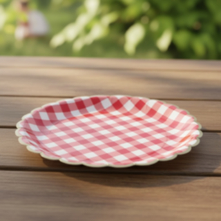 Ruudulliset Piknik Kertakäyttölautaset Punainen/Valkoinen