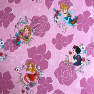 Disney Princess® Lakana
