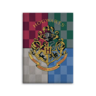 Harry Potter® Fleece Viltti