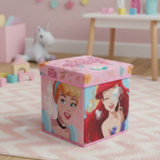 Disney Princess® Lelujen Säilytyslaatikko & Palli