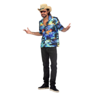 Palmu Haivaijipaita