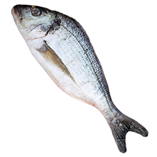 Tekokala