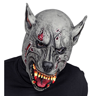 Ihmissusinaamari