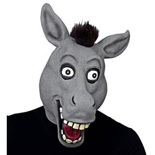 Hauska aasinaamari
