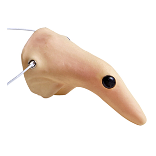 Noidan nenä