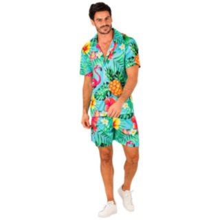 Trooppinen Flamingo Havaijisetti Trooppinen Flamingo Havaijisetti